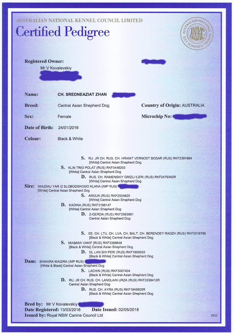 SREDNEAZIAT Zhan's pedigree